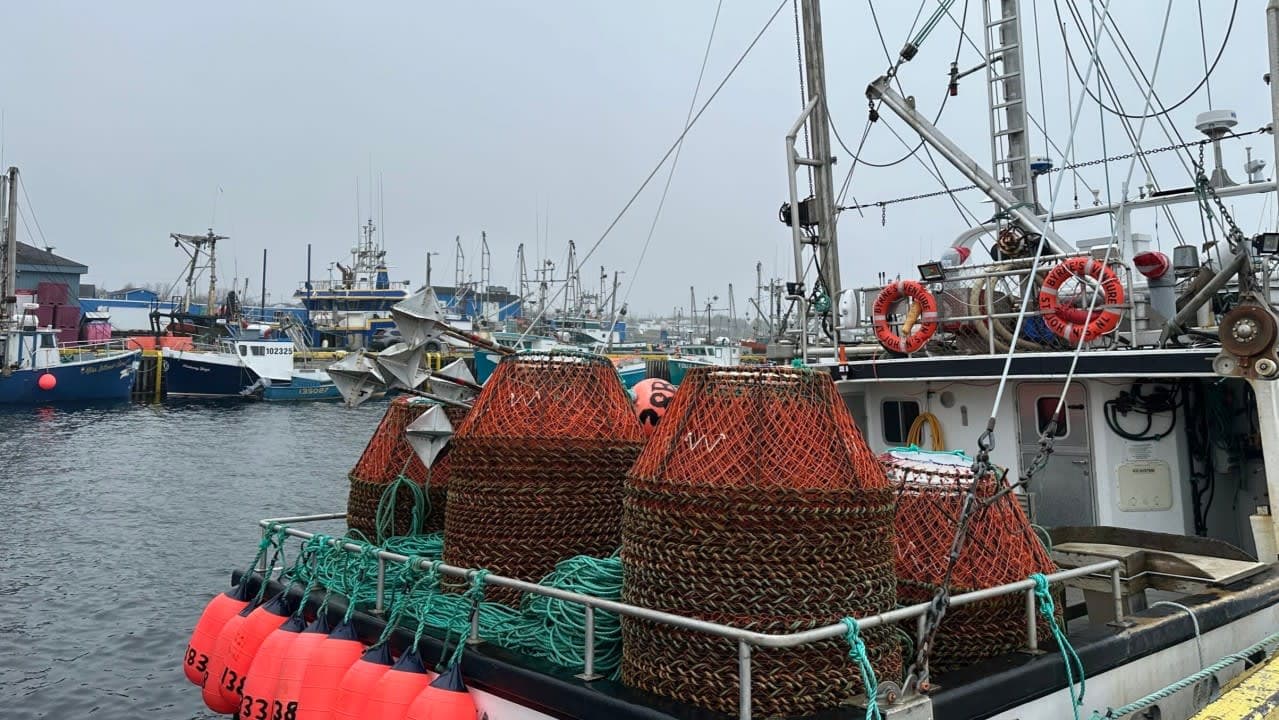 تقرير دولي: موريتانيا ضمن تحولات صناعة المأكولات البحرية عالميا