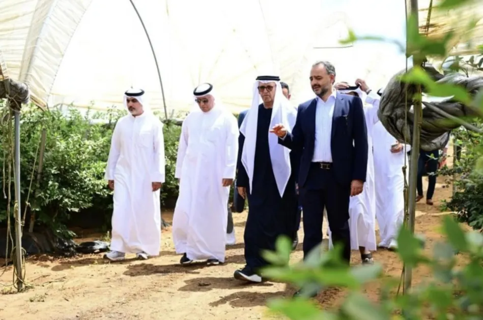 «إيليت أغرو» الإماراتية تستثمر 440 مليون درهم في مشروع أفطوط/روصو الزراعي